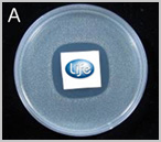 Test standard for antimicrobials