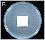 Test standard for antimicrobials